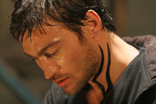 andy-whitfield